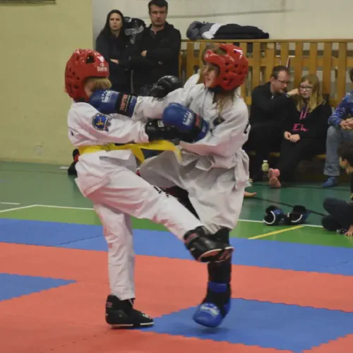dsc_1310.webp