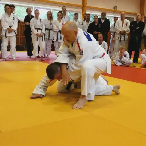 p1370976.webp