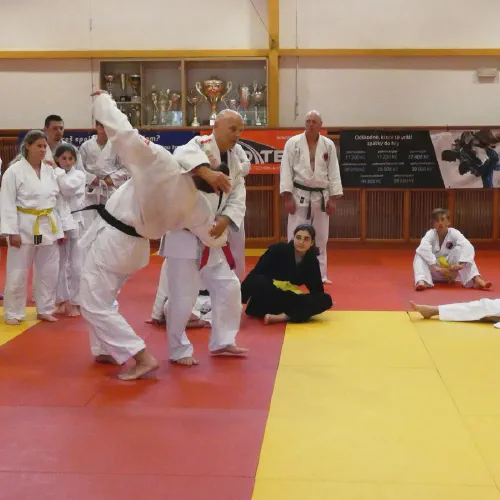 p1380076.webp
