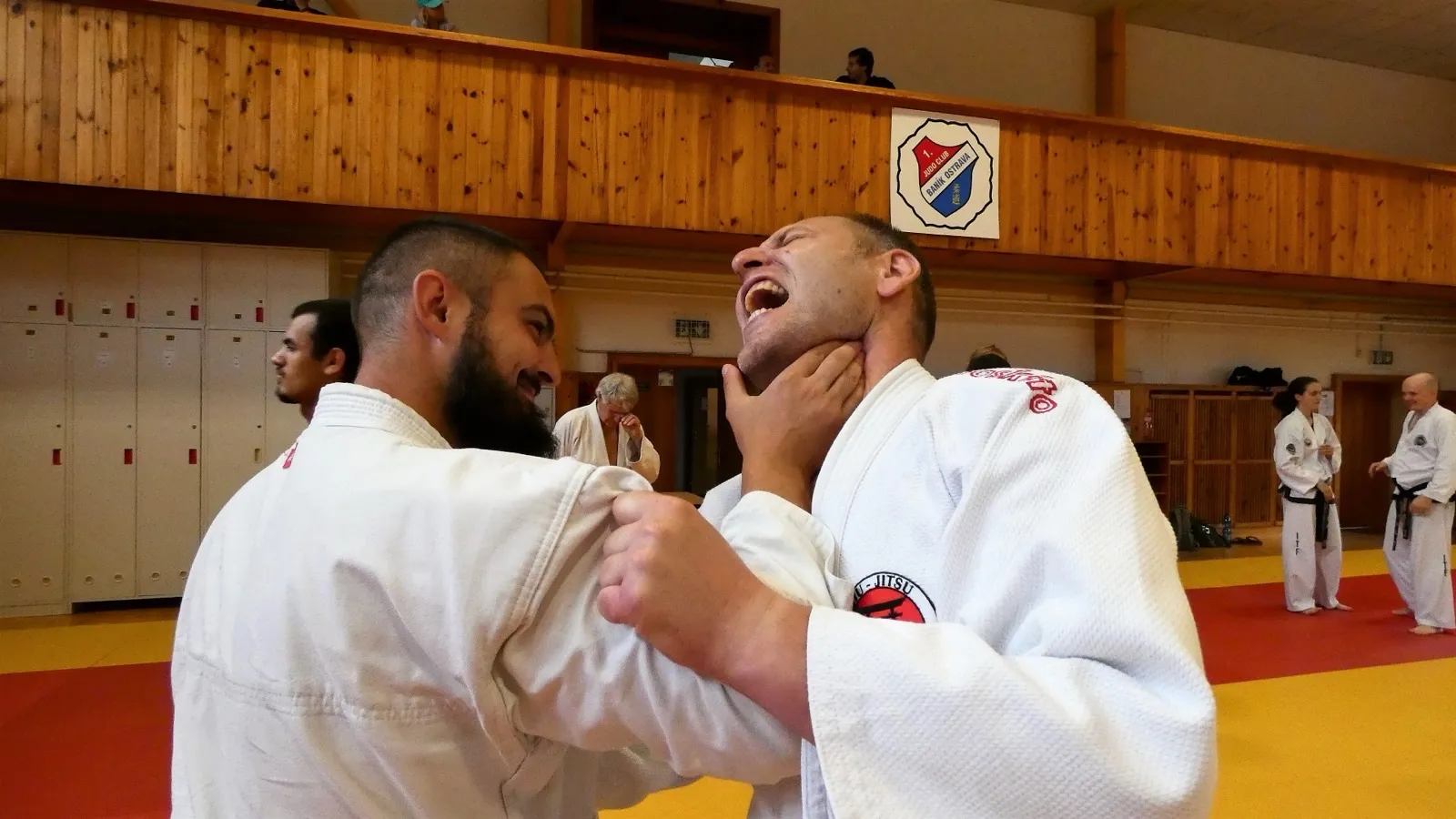 p1380181.webp