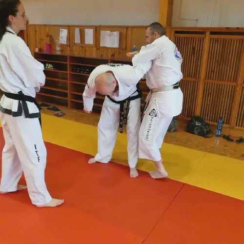 p1380289.webp
