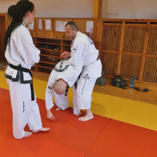 p1380290.webp