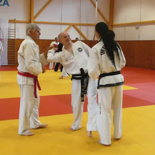p1380559.webp