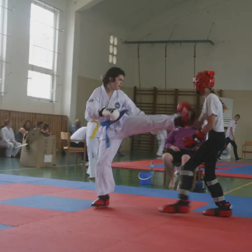 20220528-taekwon-do214.webp
