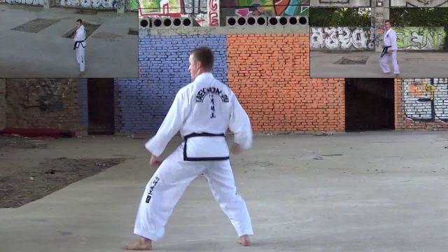 Náhled videa: Ukázka sestavy Choong-Moo