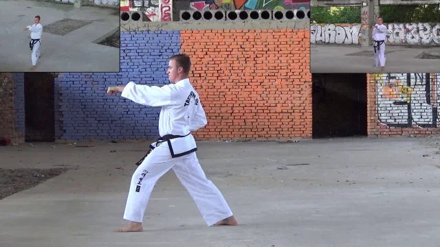 Náhled videa: Ukázka sestavy Saju Jirugi